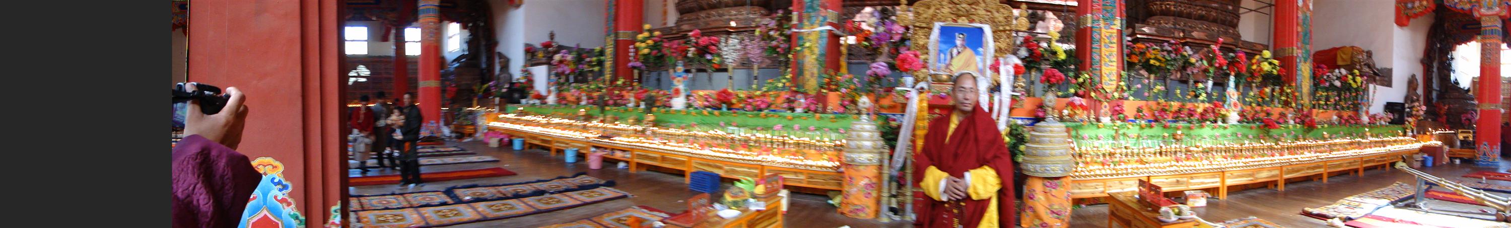 DSC02290 .JPG